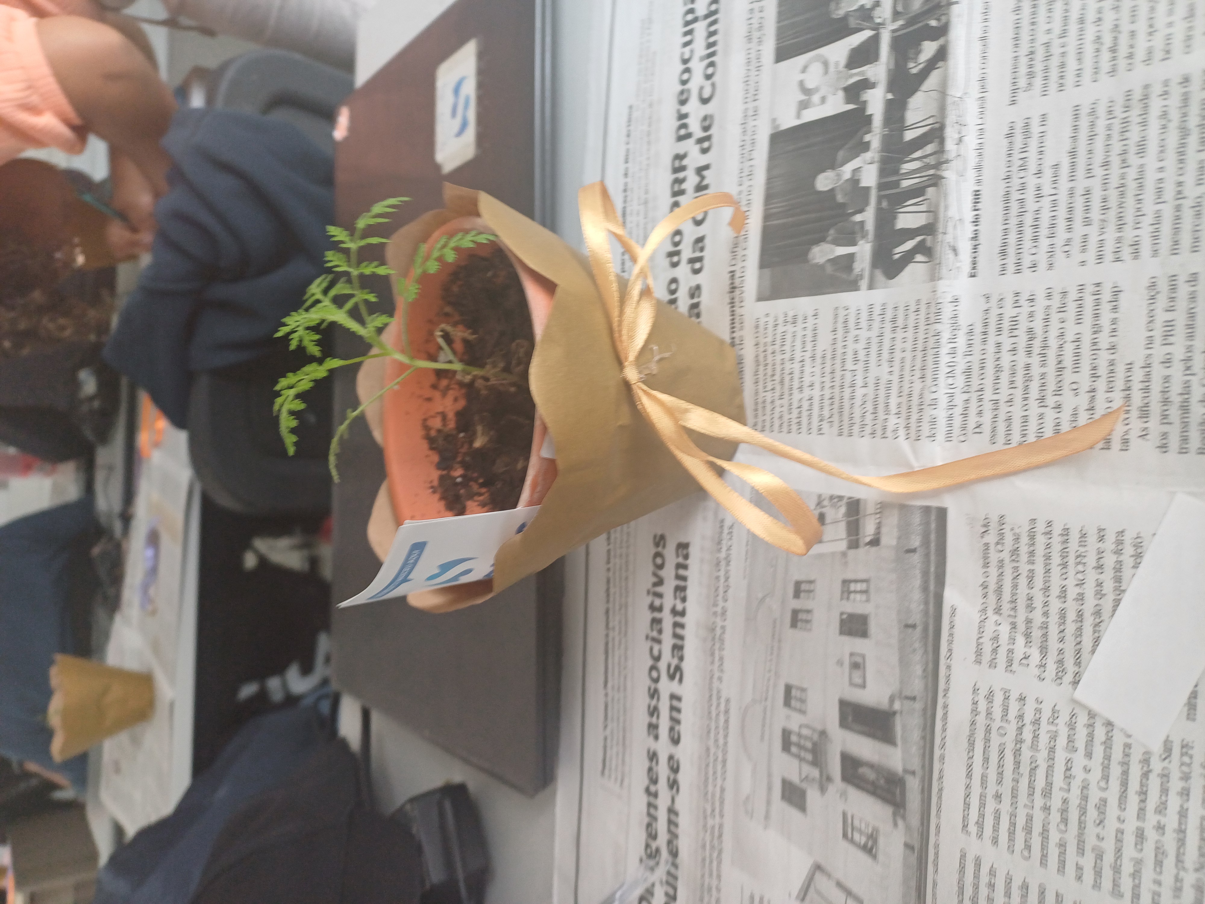 Presente Dia da Mãe