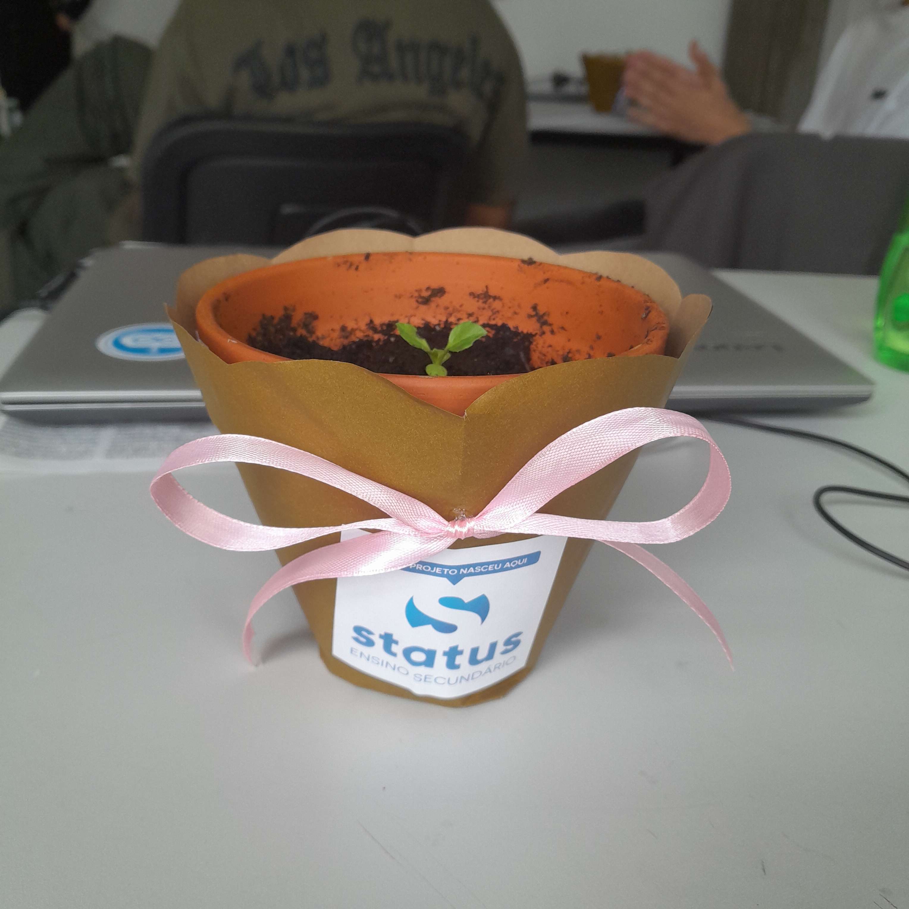 Atividade Dia da Mãe