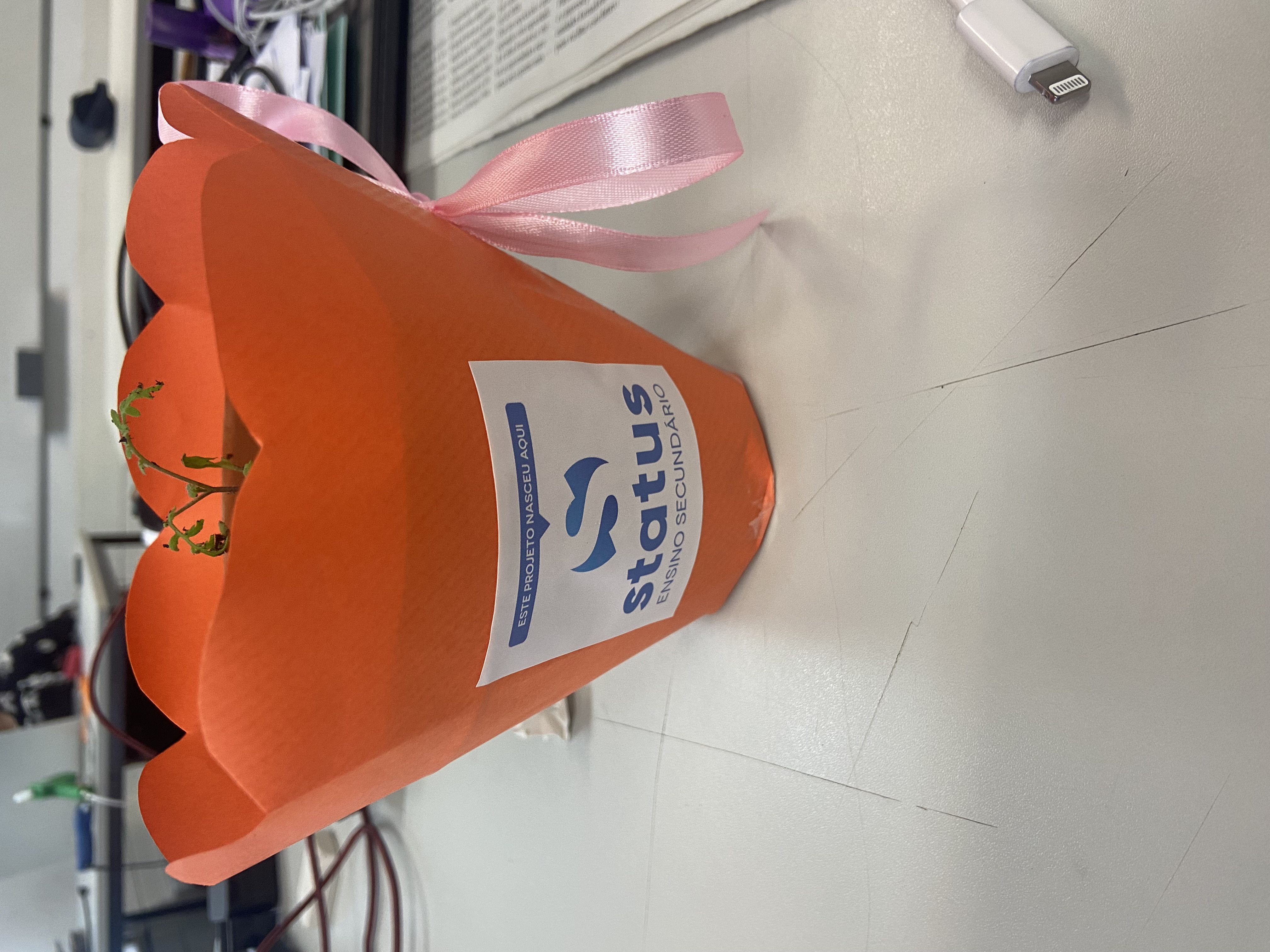 Trabalho Dia da Mãe