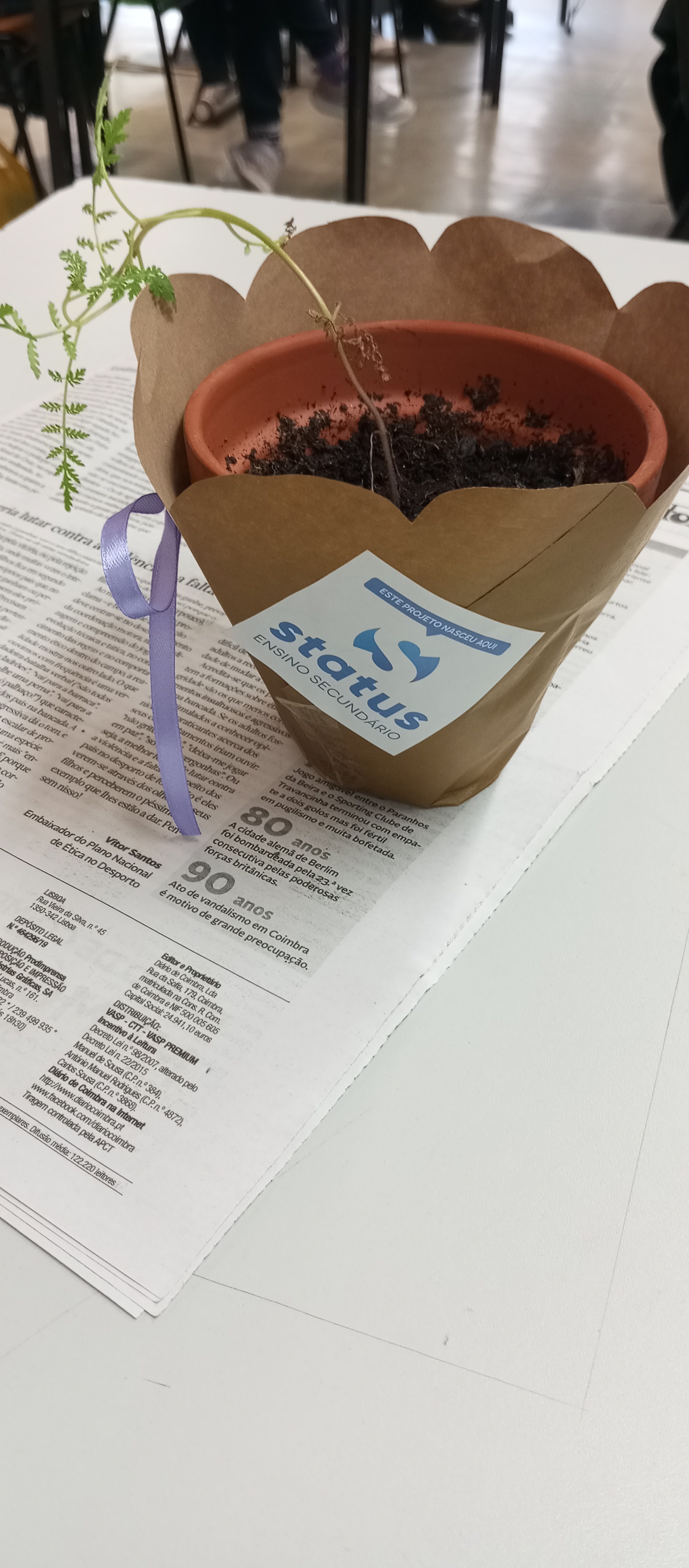 Trabalho Dia da Mãe