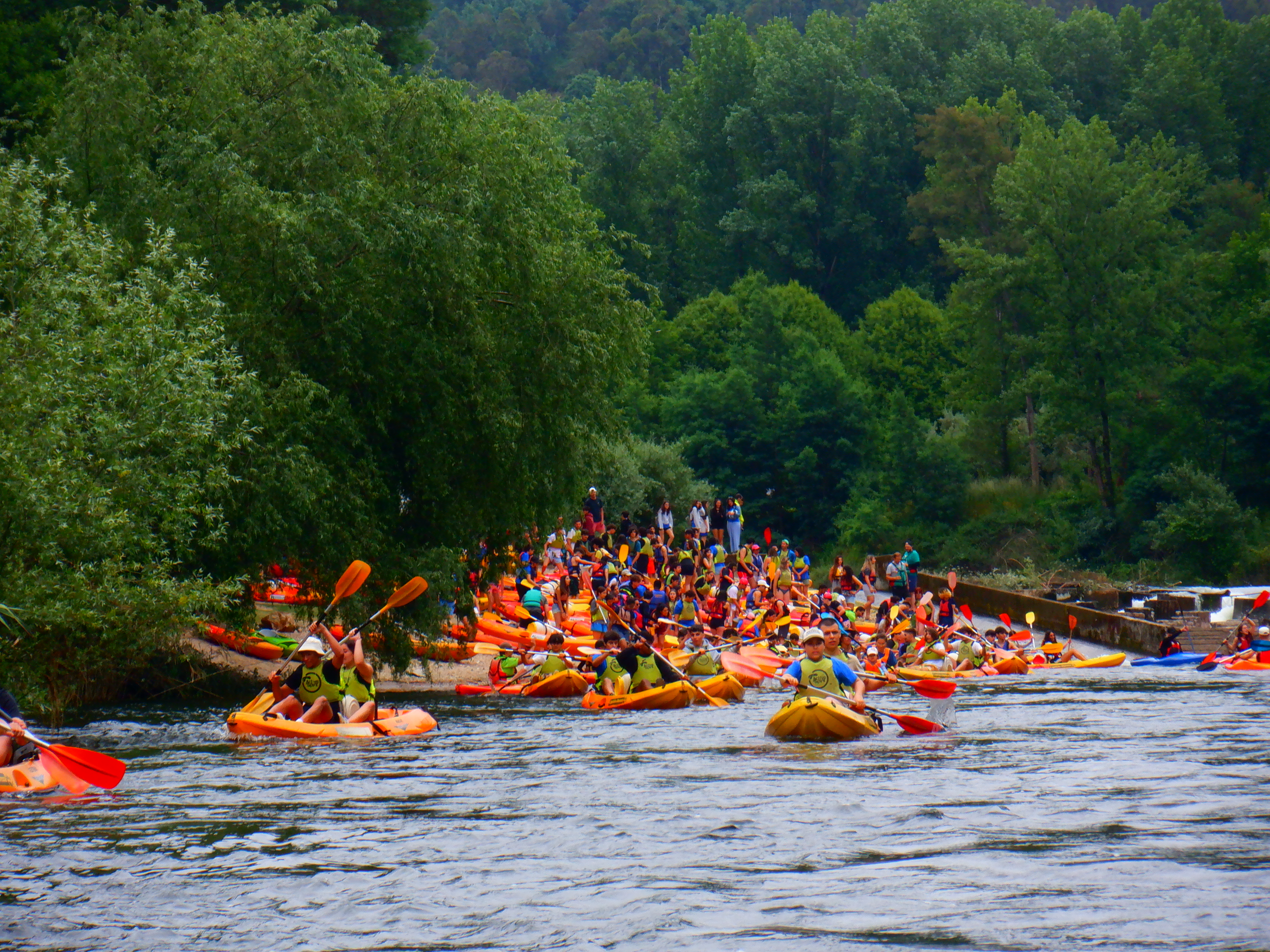 ProFun 2025 - Rio Mondego